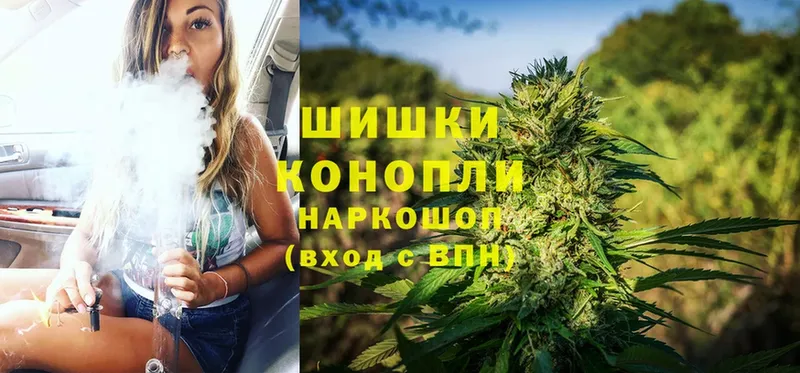 где купить   Тверь  Шишки марихуана Ganja 